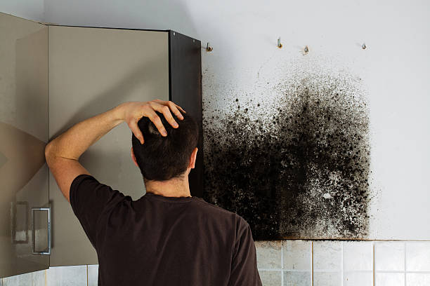 Best Crawl Space Mold Removal  in Stevens Point, WI